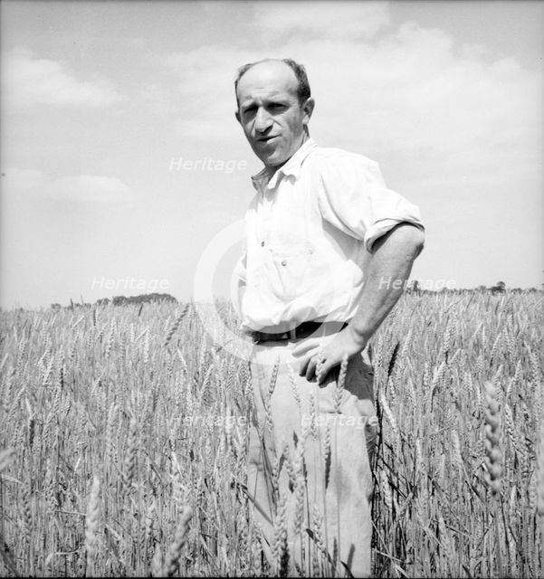 Member of the Hightstown farm group says: "Who says Jews can't farm?" Hightstown, New Jersey, 1936. Creator: Dorothea Lange.