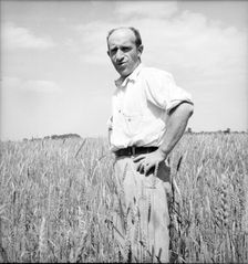 Member of the Hightstown farm group says: "Who says Jews can't farm?" Hightstown, New Jersey, 1936. Creator: Dorothea Lange