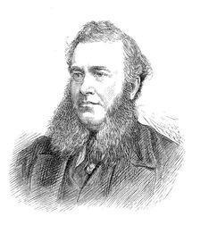 Members of the new House of Commons: Mr. W. Davies (Pembrokeshire), 1880. Creator: Unknown