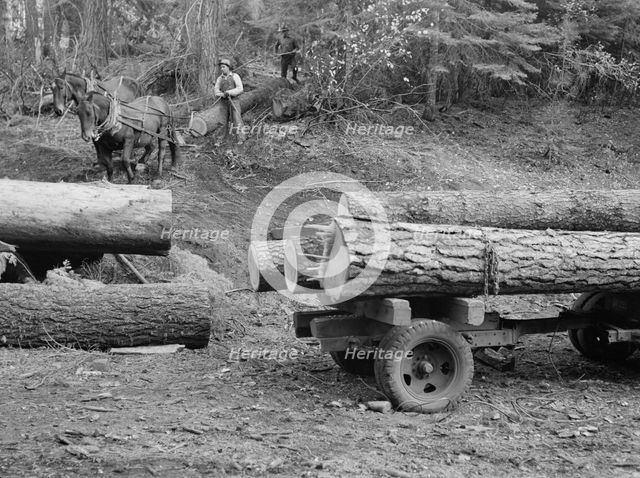Members of Ola self-help sawmill co-op snaking a fir log down to the truck, Gem County, Idaho, 1939. Creator: Dorothea Lange.