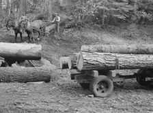 Members of Ola self-help sawmill co-op snaking a fir log down..., Gem County, Idaho, 1939. Creator: Dorothea Lange