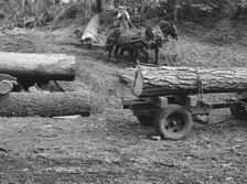 Members of Ola self-help sawmill co-op snaking a fir log down..., Gem County, Idaho, 1939. Creator: Dorothea Lange