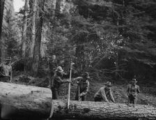 Members of Ola self-help sawmill co-op rolling white fir log..., Gem County, Idaho, 1939. Creator: Dorothea Lange