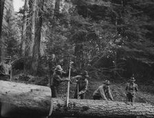 Members of Ola self-help sawmill co-op rolling white fir log..., Gem County, Idaho, 1939. Creator: Dorothea Lange