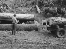 Members of Ola self-help sawmill co-op rolling white fir log..., Gem County, Idaho, 1939. Creator: Dorothea Lange
