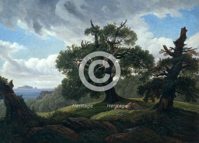 Memory of a Wooded Island in the Baltic Sea (Oak trees by the Sea), 1835. Artist: Carus, Carl Gustav (1789-1869)