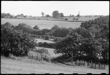 Memorial column near Lemmington Hall, Edlingham, Northumberland, c1955-c1980. Creator: Ursula Clark