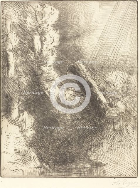 Memories of Fountainebleau in the Rain (Souvenir de Fountainebleau (Effet de pluie)). Creator: Alphonse Legros.