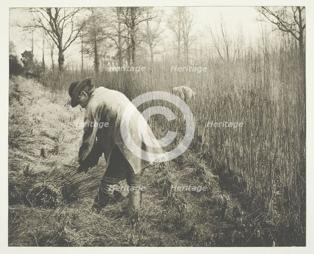 Men cutting rushes, 1892.  Creator: James Leon Williams.