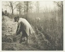 Men cutting rushes, 1892. Creator: James Leon Williams