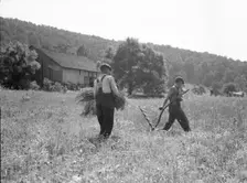 Men cradling wheat in eastern Virginia near Sperryville, 1936. Creator: Dorothea Lange