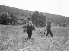 Men cradling wheat in eastern Virginia near Sperryville, 1936. Creator: Dorothea Lange