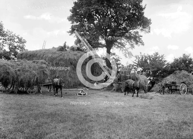 Men piling hay using a horse powered elevator, Stanford in the Vale, Oxfordshire, c1860-c1922. Artist: Henry Taunt