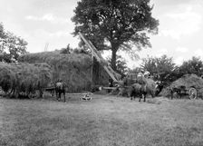 Men piling hay using a horse powered elevator, Stanford in the Vale, Oxfordshire, c1860-c1922. Artist: Henry Taunt