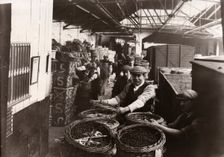 Men unloading baskets of blackcurrants from train, Rowntree factory, York, Yorkshire, 1920