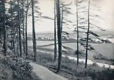 Menai - From Bangor Wood 1895
