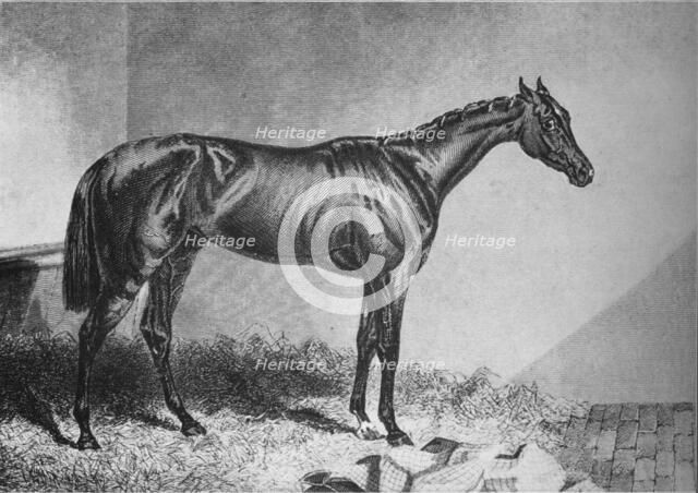 'Mendicant', 19th century, (1911). Artist: Unknown.