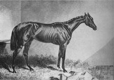 Mendicant 19th century, (1911)