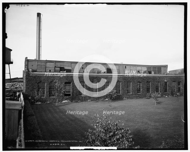 Merchants' Despatch Transportation Co., between 1900 and 1906. Creator: Unknown.