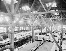 Merchants Transportation Company, Despatch, N.Y., between 1900 and 1920. Creator: Unknown