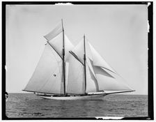 Merlin, 1890 July 10. Creator: Unknown