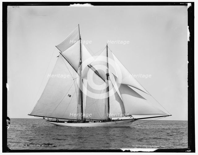 Merlin, 1890 July 10. Creator: Unknown.