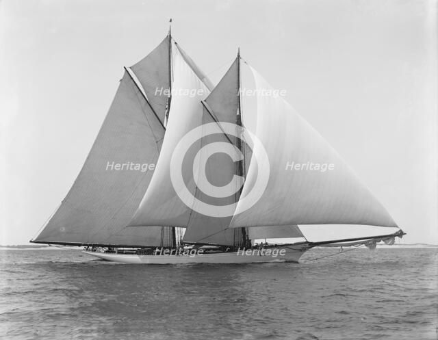 Merlin, 1892 Aug 8. Creator: Unknown.