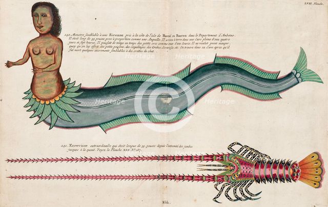 Mermaid. Illustration in "Poissons Ecrevisses et Crabes..." by Louis Renard, 1719. Creator: Fallours; Samuel (active 1700-1720).