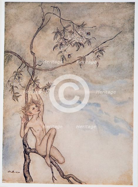 Merrily, merrily shall I live now under the blossom that hangs on the bough, illustration from 'The 
