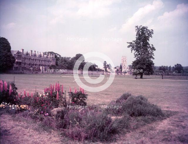 Merton College and chapel from Christchurch Meadows, Oxford, c1955.   Creator: Arthur Charles Kirby Ware.