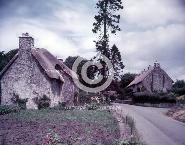 Merthyr Mawr, Glamorgan, c1955. Creator: Arthur Charles Kirby Ware.