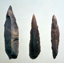 Mesolithic Microliths
