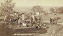 Mess scene on "round up", between 1887 and 1892. Creator: John C. H. Grabill