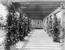 "Mi Suen~o," Herbert Coppell house, 1245 South Grand Avenue, Pasadena, California, 1917. Creator: Frances Benjamin Johnston