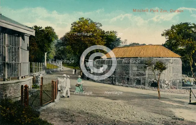 'Mitchell Park Zoo, Durban', c1915. Artist: Unknown.