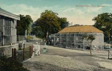 Mitchell Park Zoo, Durban c1915
