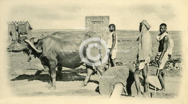 'Mixing Mortar', .  Creator: Unknown.