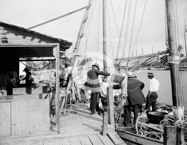 Miami, Fla., fish docks along the Miami, between 1900 and 1920. Creator: Unknown.