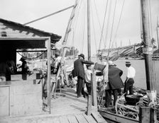 Miami, Fla., fish docks along the Miami, between 1900 and 1920. Creator: Unknown