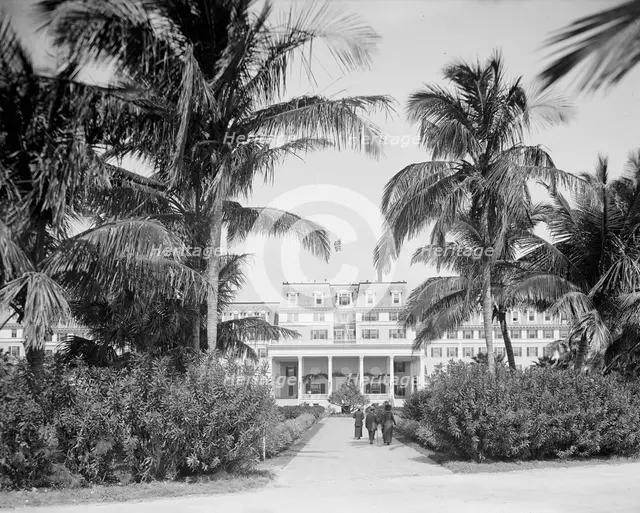 Miami, Fla., south entrance, Royal Palm Hotel, between 1900 and 1920. Creator: Unknown.