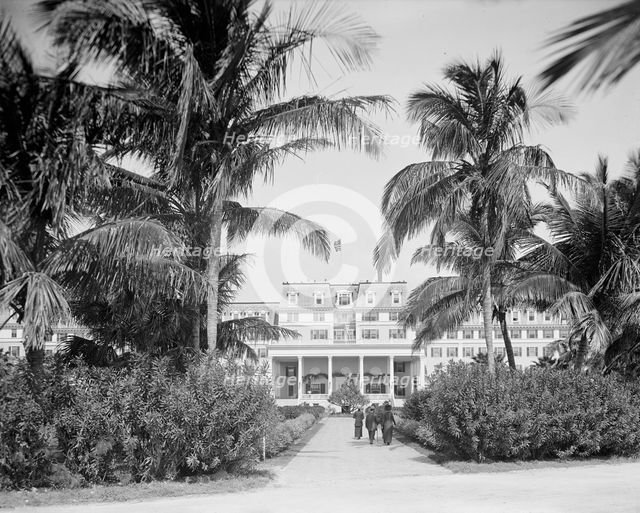 Miami, Fla., south entrance, Royal Palm Hotel, between 1900 and 1920. Creator: Unknown.