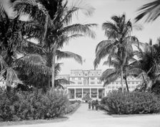 Miami, Fla., south entrance, Royal Palm Hotel, between 1900 and 1920. Creator: Unknown