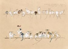 Mice and cats, undated. (c1860s) Creator: Anton Hartinger