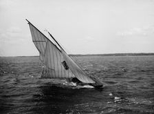 Microbe, 1896 July 25. Creator: John S Johnston