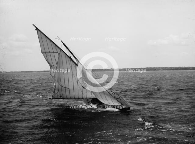 Microbe, 1896 July 25. Creator: John S Johnston.