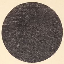Microphotograph of Traverse Section of Wood (Salisburia), 1870s. Creator: Arthur Durham