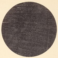 Microphotograph of Traverse Section of Wood (Salisburia), 1870s. Creator: Arthur Durham