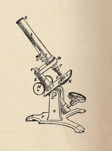 Microscope 1912