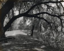 "Middleton Place," John Julius Pringle Smith house, 4300 Ashley River Road, Charleston, 1928. Creator: Frances Benjamin Johnston