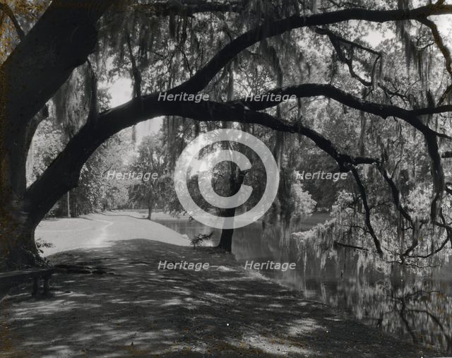 "Middleton Place," John Julius Pringle Smith house, 4300 Ashley River Road, Charleston, 1928. Creator: Frances Benjamin Johnston.